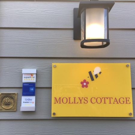 Mollys Cottage-The Suite On Vancouver Island Near Yyj Airport And The Wa And Bc Ferries North Saanich Экстерьер фото